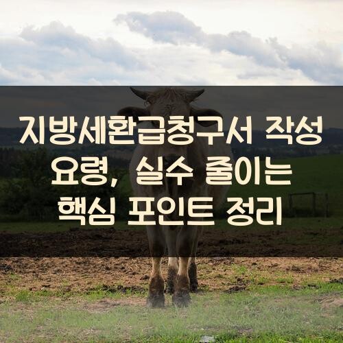 지방세환급청구서 작성 요령, 실수 줄이는 핵심 포인트 정리