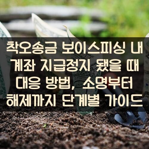 착오송금 보이스피싱 내 계좌 지급정지 됐을 때 대응 방법, 소명부터 해제까지 단계별 가이드