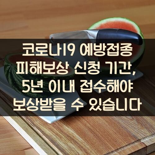 코로나19 예방접종 피해보상 신청 기간, 5년 이내 접수해야 보상받을 수 있습니다