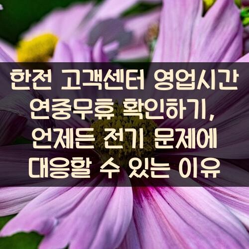 한전 고객센터 영업시간 연중무휴 확인하기, 언제든 전기 문제에 대응할 수 있는 이유