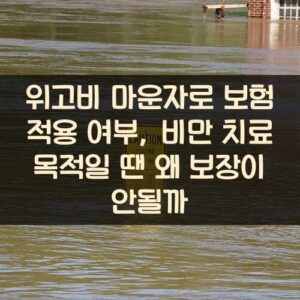 위고비 마운자로 보험 적용 여부, 비만 치료 목적일 땐 왜 보장이 안될까?
