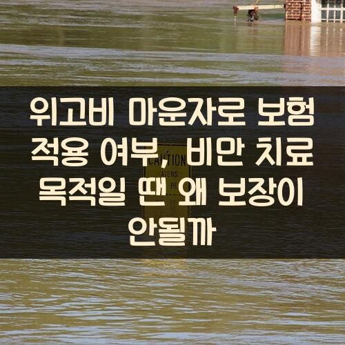 위고비 마운자로 보험 적용 여부, 비만 치료 목적일 땐 왜 보장이 안될까?