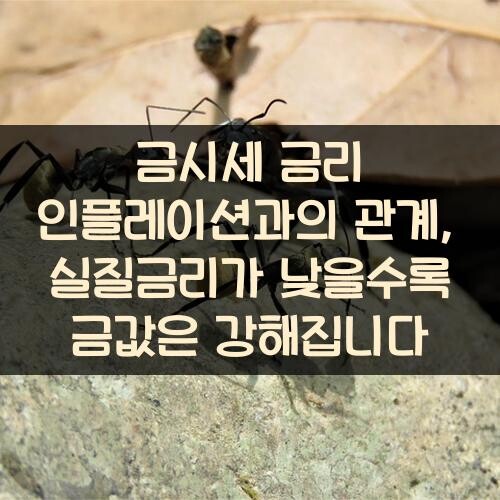 금시세 금리 인플레이션과의 관계, 실질금리가 낮을수록 금값은 강해집니다