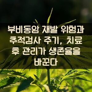부비동암 재발 위험과 추적검사 주기, 치료 후 관리가 생존율을 바꾼다