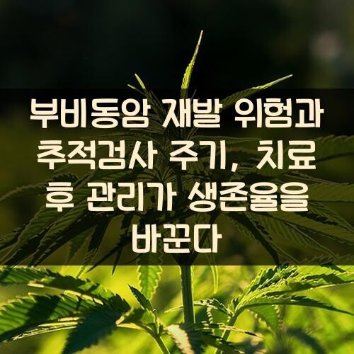 부비동암 재발 위험과 추적검사 주기, 치료 후 관리가 생존율을 바꾼다