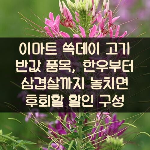 이마트 쓱데이 고기 반값 품목, 한우부터 삼겹살까지 놓치면 후회할 할인 구성