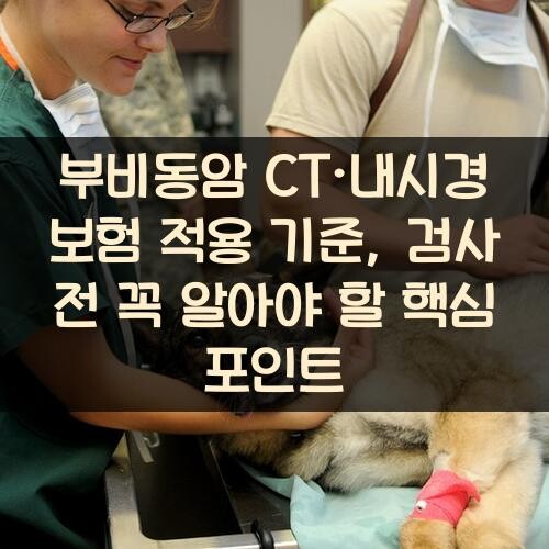부비동암 CT·내시경 보험 적용 기준, 검사 전 꼭 알아야 할 핵심 포인트