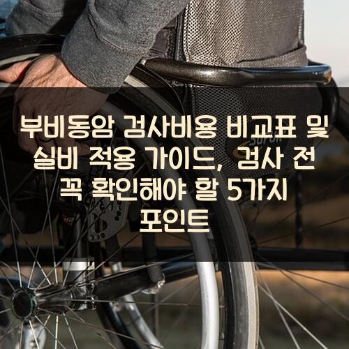부비동암 검사비용 비교표 및 실비 적용 가이드, 검사 전 꼭 확인해야 할 5가지 포인트