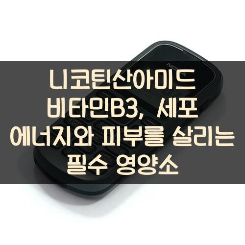 니코틴산아미드 비타민B3, 세포 에너지와 피부를 살리는 필수 영양소