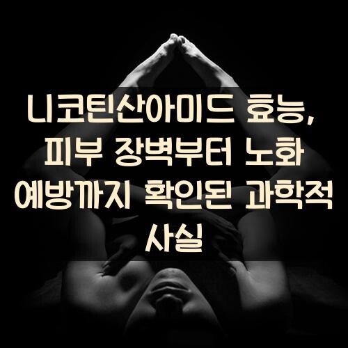 니코틴산아미드 효능, 피부 장벽부터 노화 예방까지 확인된 과학적 사실