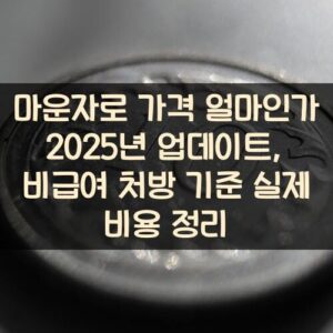 마운자로 가격 얼마인가 2025년 업데이트, 비급여 처방 기준 실제 비용 정리