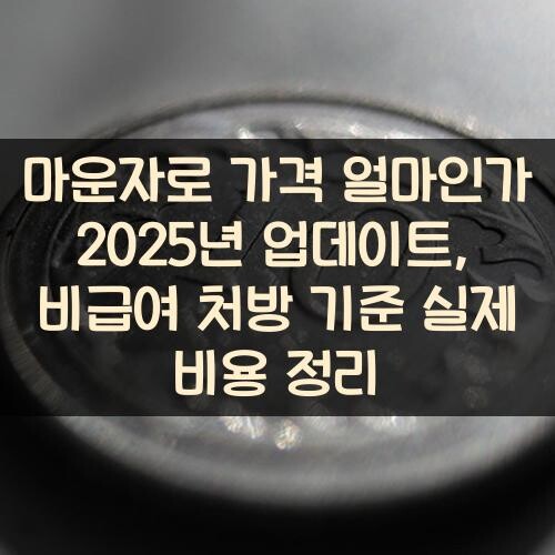 마운자로 가격 얼마인가 2025년 업데이트, 비급여 처방 기준 실제 비용 정리