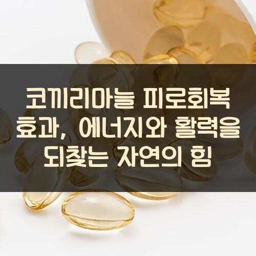 코끼리마늘 피로회복 효과, 에너지와 활력을 되찾는 자연의 힘