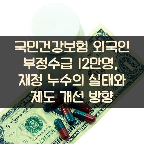 국민건강보험 외국인 부정수급 12만명, 재정 누수의 실태와 제도 개선 방향