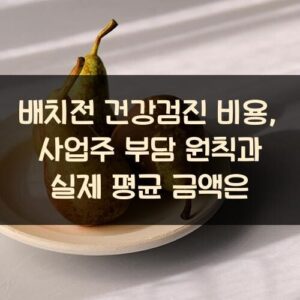 배치전 건강검진 비용, 사업주 부담 원칙과 실제 평균 금액은?
