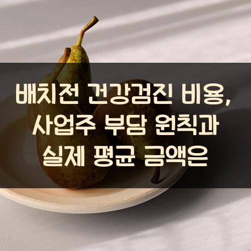 배치전 건강검진 비용, 사업주 부담 원칙과 실제 평균 금액은?