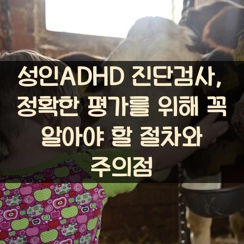 성인ADHD 진단검사, 정확한 평가를 위해 꼭 알아야 할 절차와 주의점