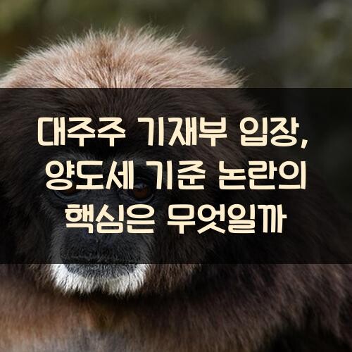 대주주 기재부 입장, 양도세 기준 논란의 핵심은 무엇일까?