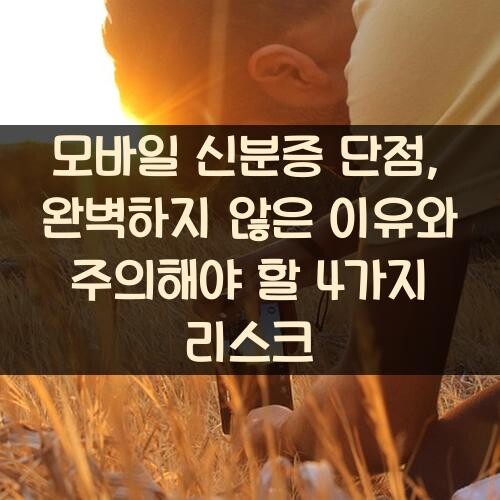 모바일 신분증 단점, 완벽하지 않은 이유와 주의해야 할 4가지 리스크