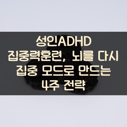 성인ADHD 집중력훈련, 뇌를 다시 집중 모드로 만드는 4주 전략