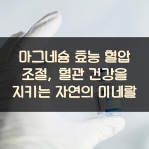 마그네슘 효능 혈압 조절, 혈관 건강을 지키는 자연의 미네랄 마그네슘 효능 혈압 조절, 혈관 건강을 지키는 자연의 미네랄
