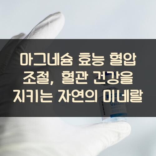 마그네슘 효능 혈압 조절, 혈관 건강을 지키는 자연의 미네랄