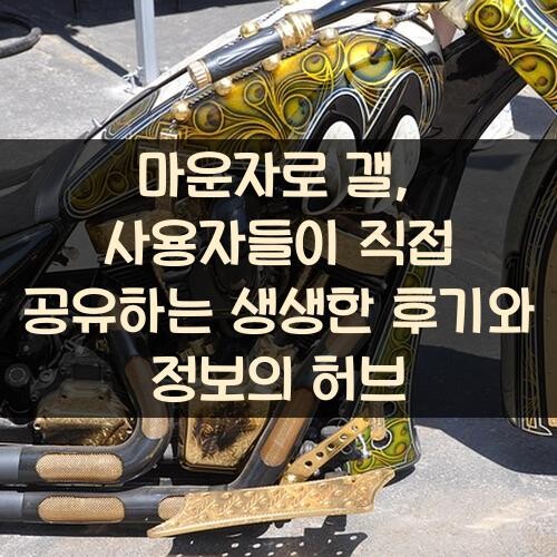 마운자로 갤, 사용자들이 직접 공유하는 생생한 후기와 정보의 허브