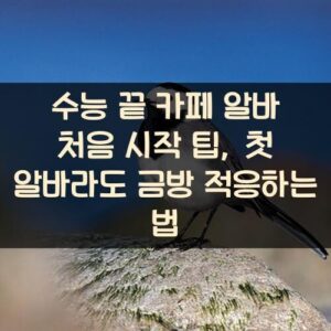 수능 끝 카페 알바 처음 시작 팁, 첫 알바라도 금방 적응하는 법