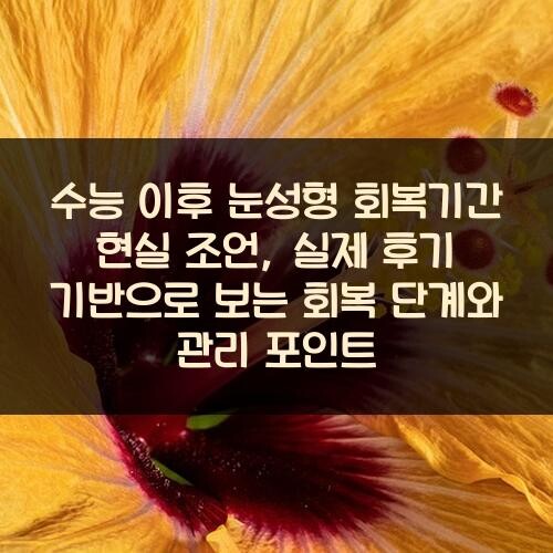 수능 이후 눈성형 회복기간 현실 조언, 실제 후기 기반으로 보는 회복 단계와 관리 포인트