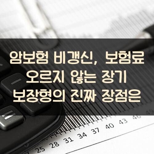 암보험 비갱신, 보험료 오르지 않는 장기 보장형의 진짜 장점은?