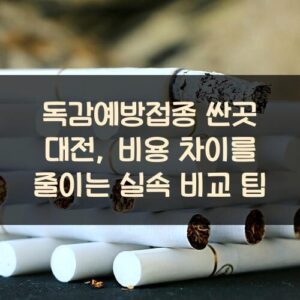 독감예방접종 싼곳 대전, 비용 차이를 줄이는 실속 비교 팁 독감예방접종 싼곳 대전, 비용 차이를 줄이는 실속 비교 팁