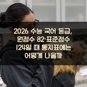 2026 수능 국어 등급, 원점수 82·표준점수 124일 때 통지표에는 어떻게 나올까?
