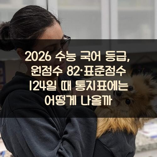 2026 수능 국어 등급, 원점수 82·표준점수 124일 때 통지표에는 어떻게 나올까?