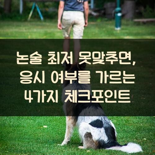 논술 최저 못맞추면?, 응시 여부를 가르는 4가지 체크포인트