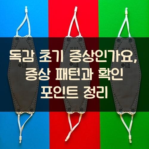 독감 초기 증상인가요?, 증상 패턴과 확인 포인트 정리