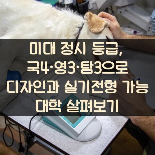 미대 정시 등급, 국4·영3·탐3으로 디자인과 실기전형 가능 대학 살펴보기