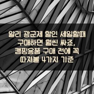 알리 광군제 할인 세일할때 구매하면 훨씬 싸죠?, 캠핑용품 구매 전에 꼭 따져볼 4가지 기준