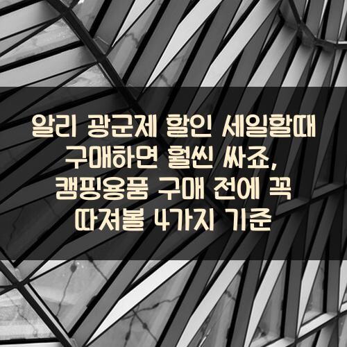 알리 광군제 할인 세일할때 구매하면 훨씬 싸죠?, 캠핑용품 구매 전에 꼭 따져볼 4가지 기준