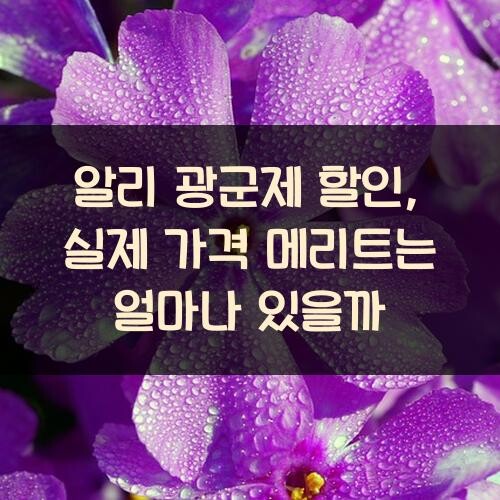 알리 광군제 할인, 실제 가격 메리트는 얼마나 있을까?