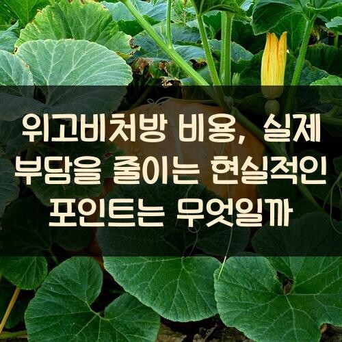 위고비처방 비용, 실제 부담을 줄이는 현실적인 포인트는 무엇일까?