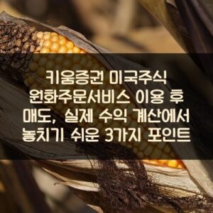 키움증권 미국주식 원화주문서비스 이용 후 매도, 실제 수익 계산에서 놓치기 쉬운 3가지 포인트