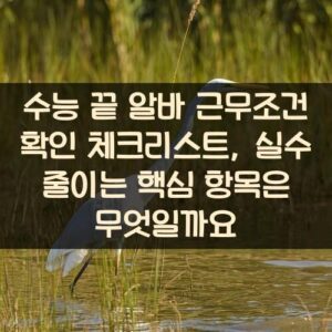 수능 끝 알바 근무조건 확인 체크리스트, 실수 줄이는 핵심 항목은 무엇일까요?