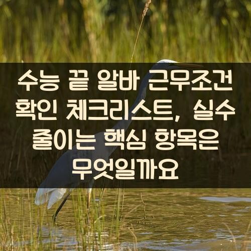 수능 끝 알바 근무조건 확인 체크리스트, 실수 줄이는 핵심 항목은 무엇일까요?