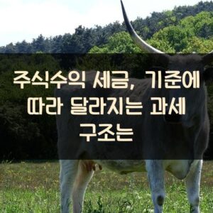 주식수익 세금, 기준에 따라 달라지는 과세 구조는?
