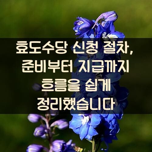 효도수당 신청 절차, 준비부터 지급까지 흐름을 쉽게 정리했습니다