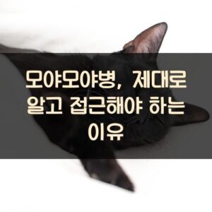 모야모야병, 제대로 알고 접근해야 하는 이유