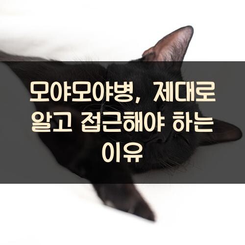 모야모야병, 제대로 알고 접근해야 하는 이유