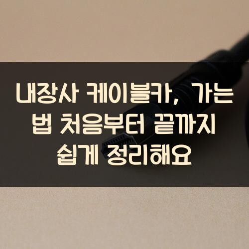 내장사 케이블카, 가는 법 처음부터 끝까지 쉽게 정리해요