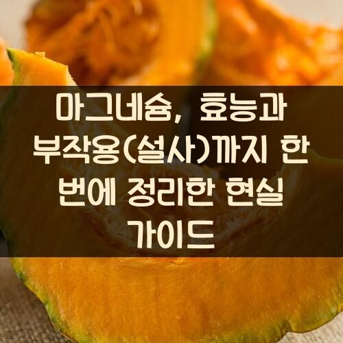 마그네슘, 효능과 부작용(설사)까지 한 번에 정리한 현실 가이드