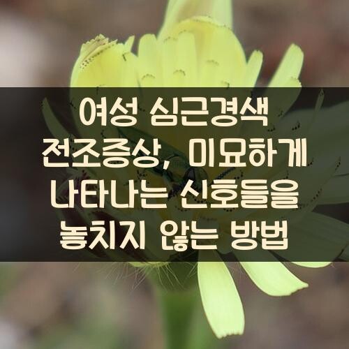 여성 심근경색 전조증상, 미묘하게 나타나는 신호들을 놓치지 않는 방법
